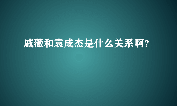 戚薇和袁成杰是什么关系啊？