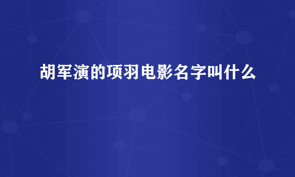 胡军演的项羽电影名字叫什么