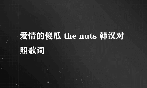 爱情的傻瓜 the nuts 韩汉对照歌词