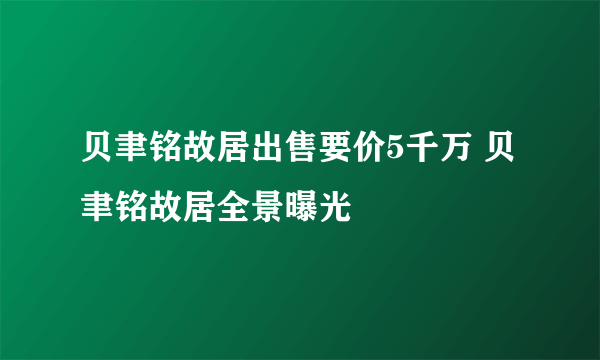 贝聿铭故居出售要价5千万 贝聿铭故居全景曝光