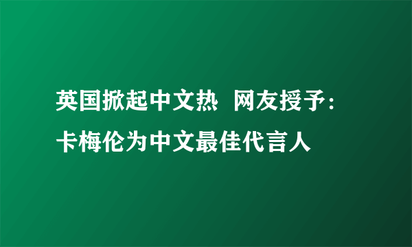 英国掀起中文热  网友授予：卡梅伦为中文最佳代言人