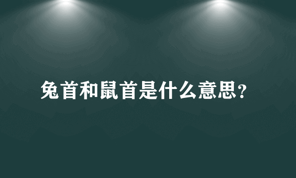 兔首和鼠首是什么意思？