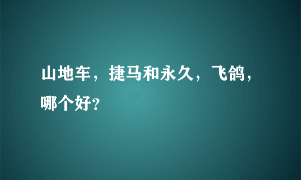 山地车，捷马和永久，飞鸽，哪个好？