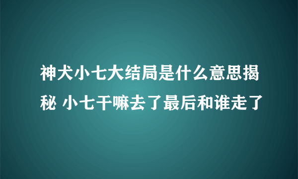 神犬小七大结局是什么意思揭秘 小七干嘛去了最后和谁走了