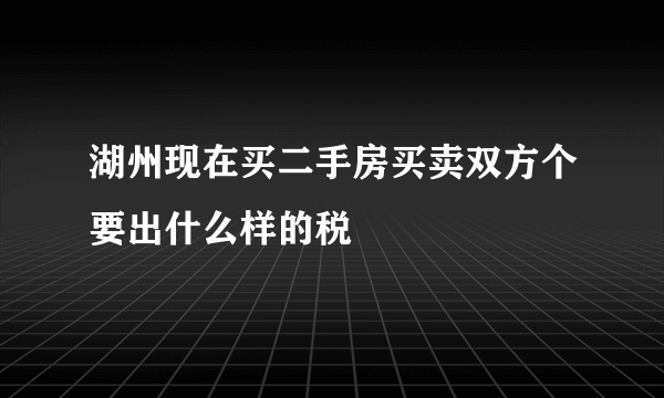 湖州现在买二手房买卖双方个要出什么样的税