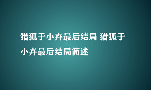 猎狐于小卉最后结局 猎狐于小卉最后结局简述