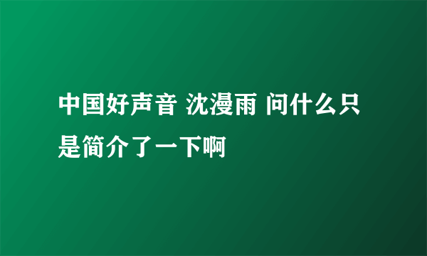 中国好声音 沈漫雨 问什么只是简介了一下啊