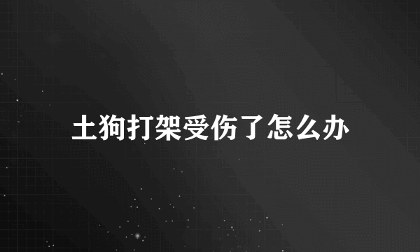 土狗打架受伤了怎么办