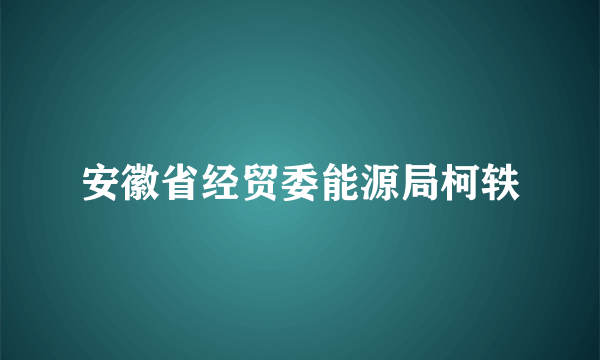 安徽省经贸委能源局柯轶