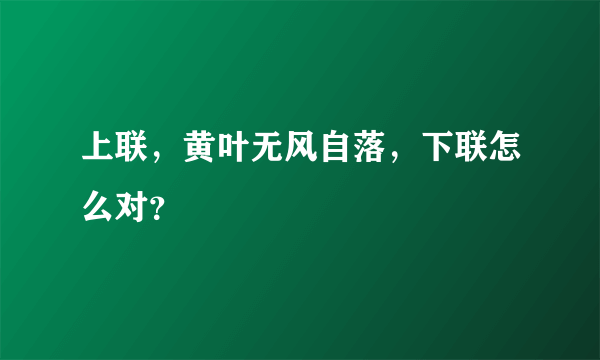 上联，黄叶无风自落，下联怎么对？