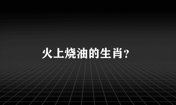 火上烧油的生肖？