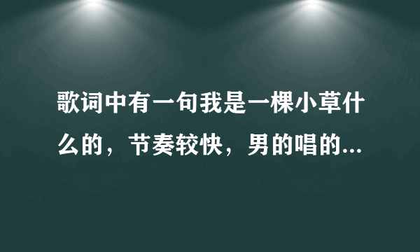 歌词中有一句我是一棵小草什么的，节奏较快，男的唱的，什么歌？