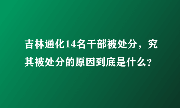 吉林通化14名干部被处分，究其被处分的原因到底是什么？