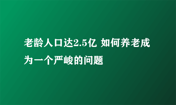 老龄人口达2.5亿 如何养老成为一个严峻的问题