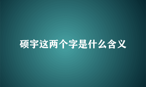 硕宇这两个字是什么含义