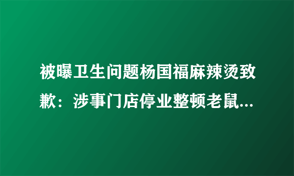 被曝卫生问题杨国福麻辣烫致歉：涉事门店停业整顿老鼠屎遍地等-飞外