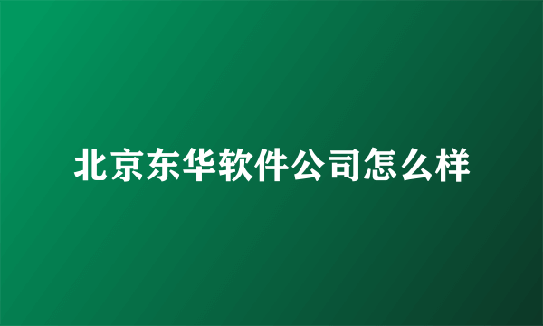 北京东华软件公司怎么样