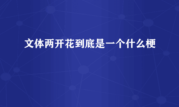 文体两开花到底是一个什么梗