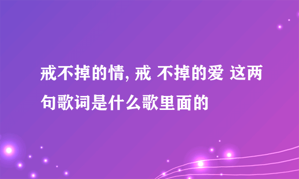 戒不掉的情, 戒 不掉的爱 这两句歌词是什么歌里面的