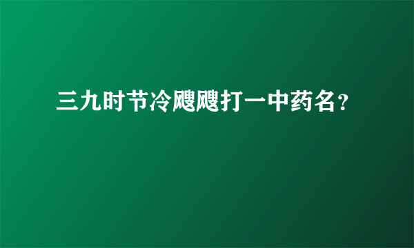 三九时节冷飕飕打一中药名？