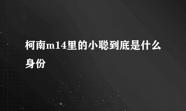 柯南m14里的小聪到底是什么身份