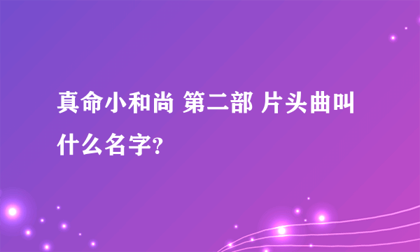 真命小和尚 第二部 片头曲叫什么名字？