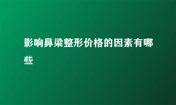 影响鼻梁整形价格的因素有哪些