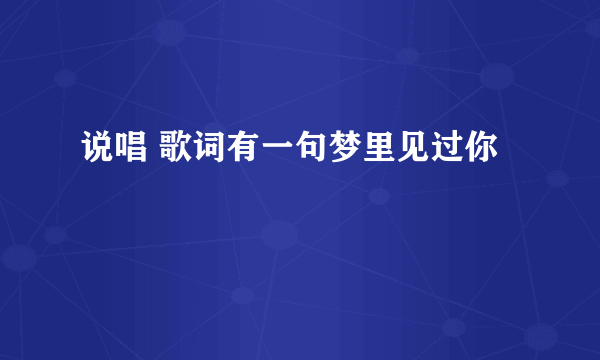 说唱 歌词有一句梦里见过你