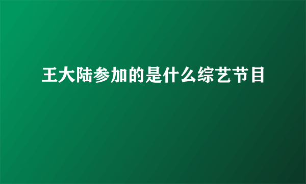 王大陆参加的是什么综艺节目