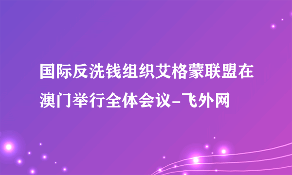 国际反洗钱组织艾格蒙联盟在澳门举行全体会议-飞外网