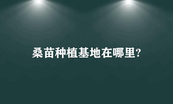 桑苗种植基地在哪里?