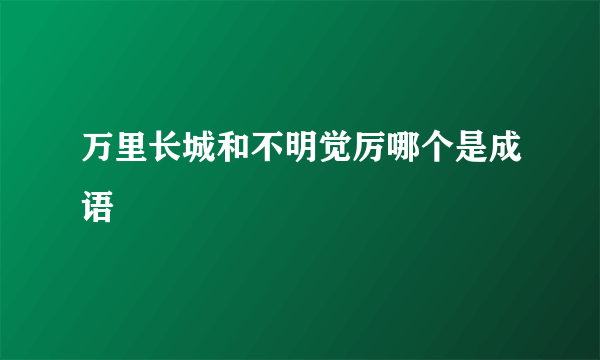 万里长城和不明觉厉哪个是成语