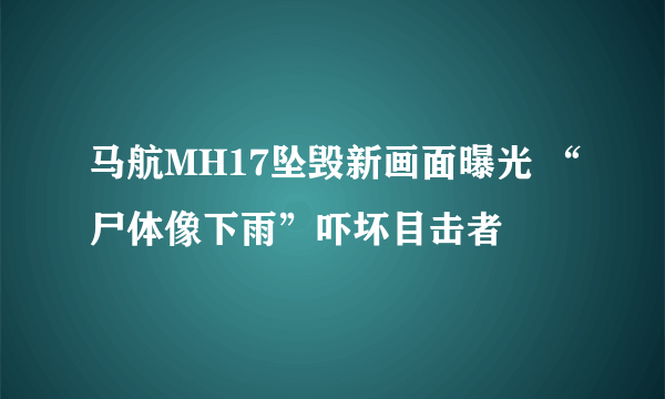 马航MH17坠毁新画面曝光 “尸体像下雨”吓坏目击者