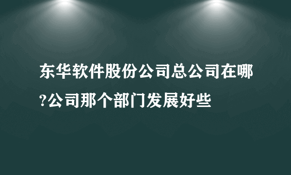 东华软件股份公司总公司在哪?公司那个部门发展好些