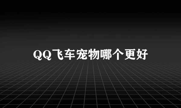 QQ飞车宠物哪个更好