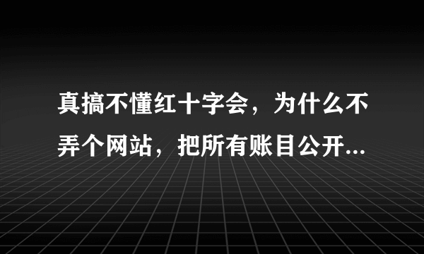 真搞不懂红十字会，为什么不弄个网站，把所有账目公开让网友查询不就好了么。