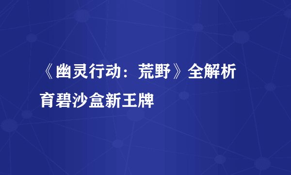 《幽灵行动：荒野》全解析 育碧沙盒新王牌