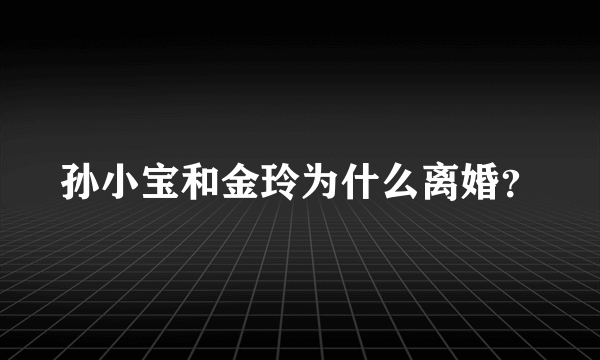 孙小宝和金玲为什么离婚？