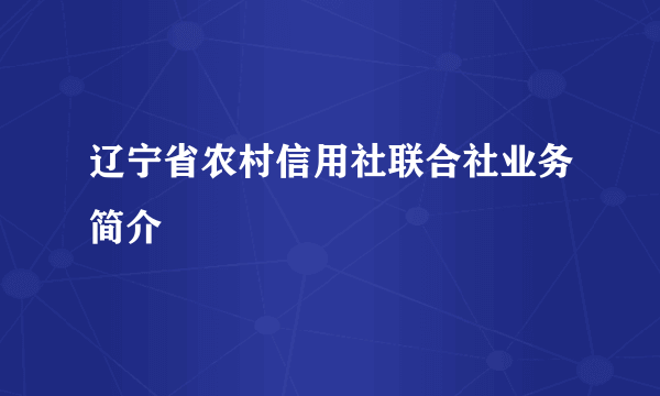 辽宁省农村信用社联合社业务简介