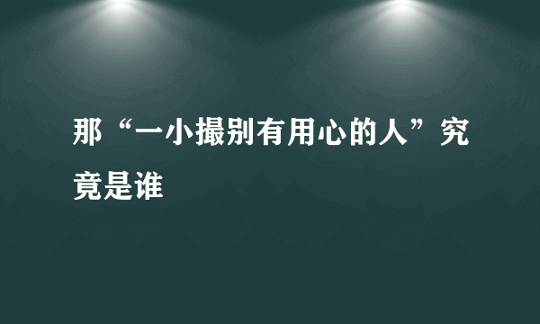 那“一小撮别有用心的人”究竟是谁