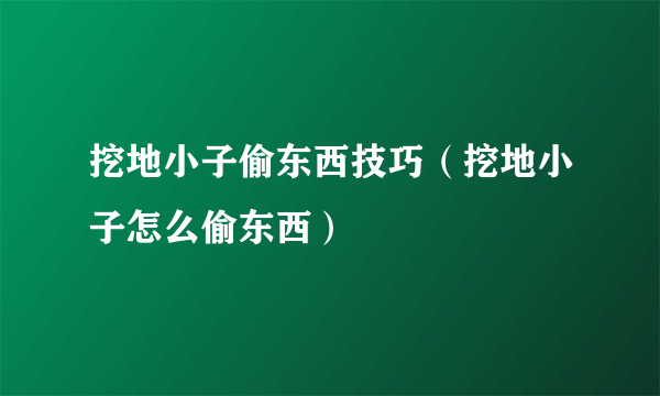 挖地小子偷东西技巧（挖地小子怎么偷东西）