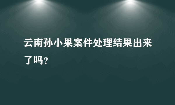 云南孙小果案件处理结果出来了吗？