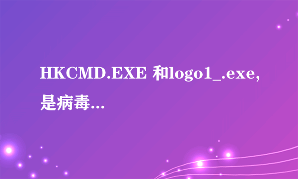 HKCMD.EXE 和logo1_.exe,是病毒进程吗?