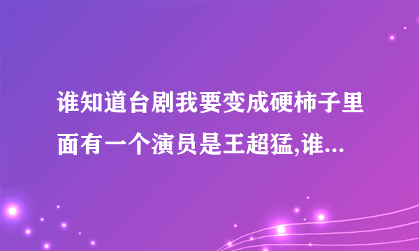 谁知道台剧我要变成硬柿子里面有一个演员是王超猛,谁有他的资料?