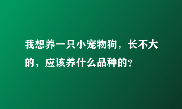 我想养一只小宠物狗，长不大的，应该养什么品种的？