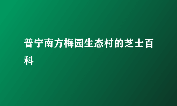 普宁南方梅园生态村的芝士百科