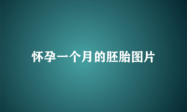 怀孕一个月的胚胎图片