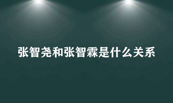 张智尧和张智霖是什么关系