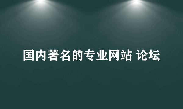 国内著名的专业网站 论坛