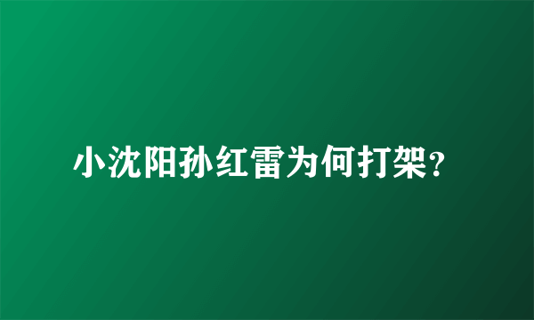 小沈阳孙红雷为何打架？